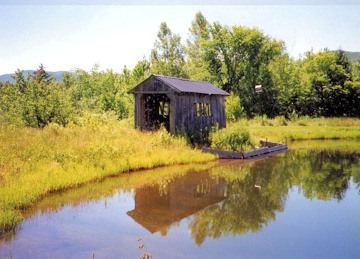 Blondin Bridge