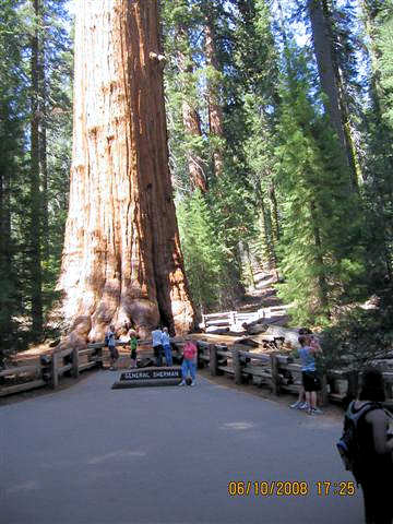 Sequoia National Park