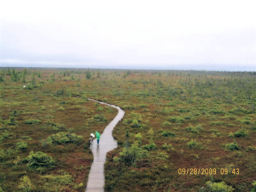 Liz on the Kouchibougac Bog Trail