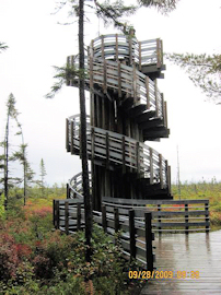Tom on the Kouchibougac Bog Trail Tower