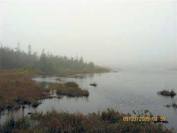 Carabou Bog, Fundy National Park