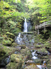 Dickson Falls