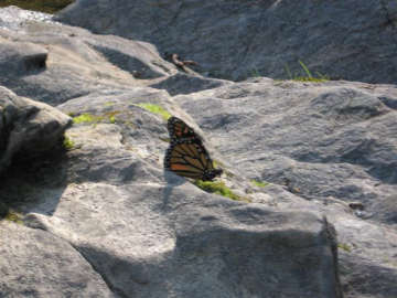 Quechee Gorge
