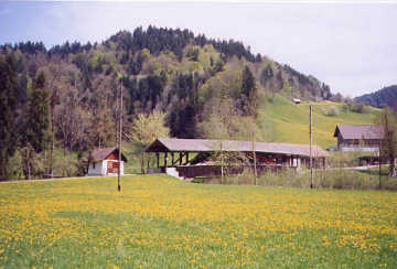Dieboldswil Bridge S-06-17