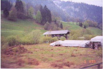 Weissenburg Bridge S-06-32*