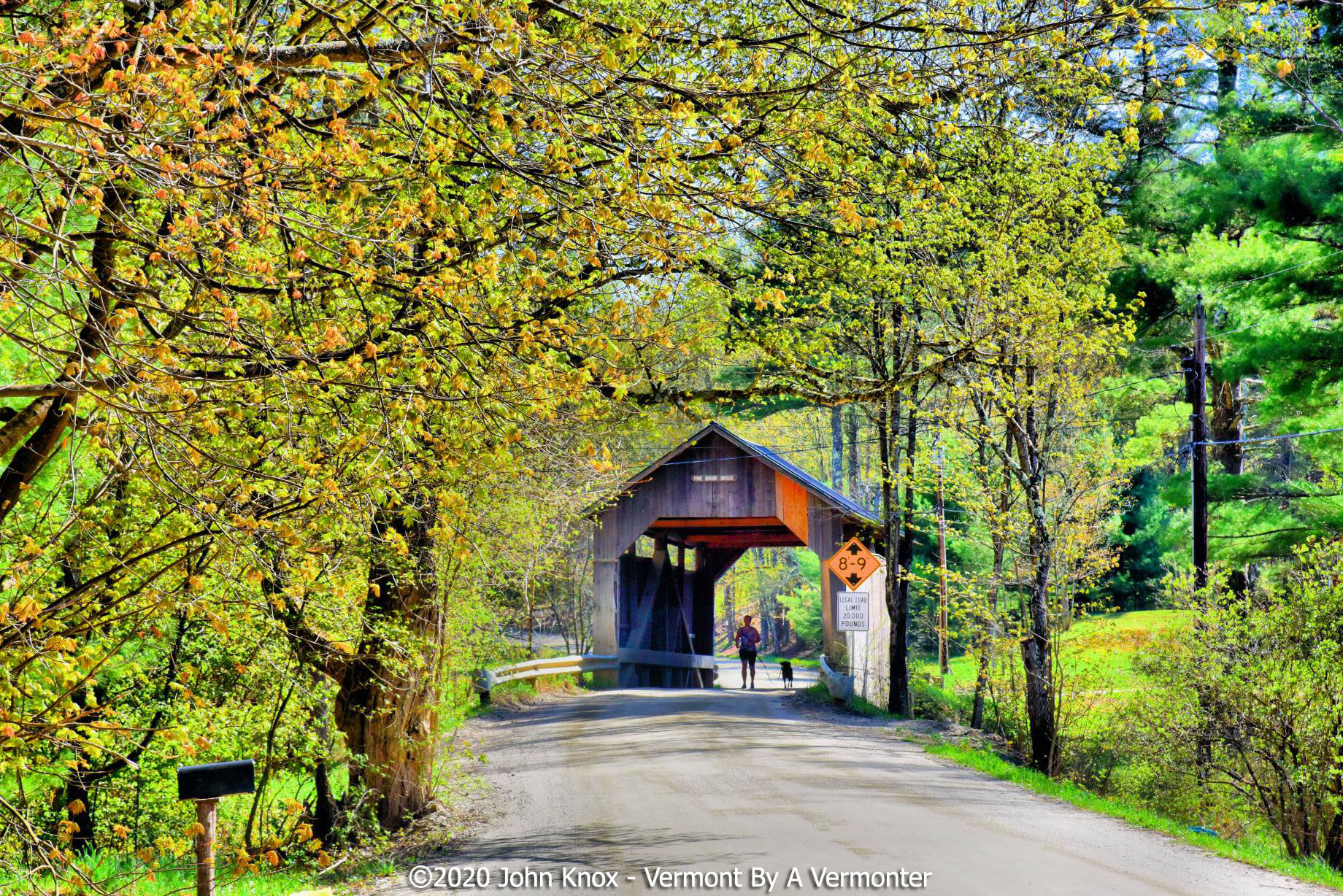 Pine Brook Covered Bridge - John H. Knox