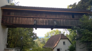 Covered Foot Bridge - Robert Stein