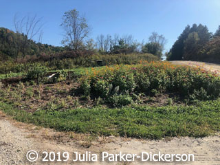 Butterfly Garden - Quinlan Covered Bridge