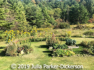 Butterfly Garden - Quinlan Covered Bridge
