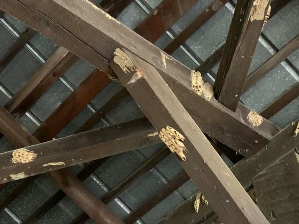 Witherspoon bridge damage