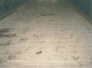 East Fairfield Covered Bridge Existing Deck