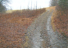 Hutchins Covered Bridge Steep Slope Near Field Along TH 27