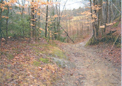 Hutchins Covered Bridge TH 27 Near Gibou Rd
