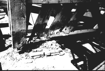 Fitch's Covered Bridge June 10, 2001